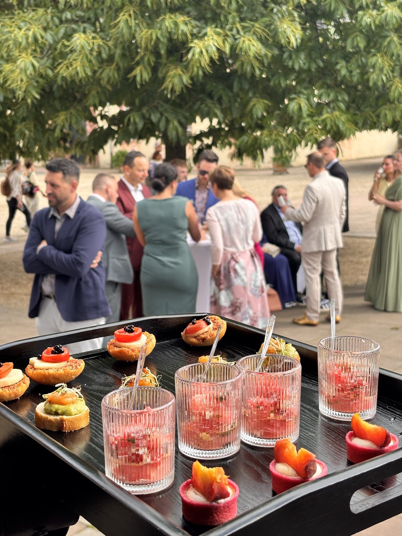 Gartenempfang mit Aperitifs